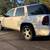2008 Chevrolet Trailblazer LT 8 thumbnail