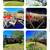 3 Bed /3 Full Bathroom RENOVATED ART DECO HOUSE *SOFI / USC /LAX* 13 thumbnail