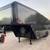 NEW Cargo Craft 32' Gooseneck Enclosed (Box) Trailer stk#12359 1 thumbnail