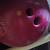 Bowling Balls High Performance $150+ new upd 12/06 8 thumbnail