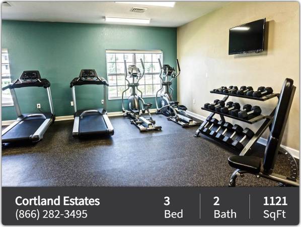 $1,491 / 3br - 1121ft2 - Simply breath-taking! Beautifully designed 3 BR/2 BA - just for you (Cortland)63981971998083121