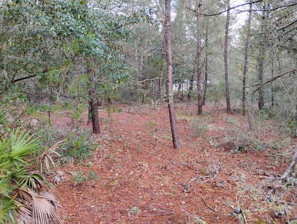 $7,500 / 9583ft2 - Nice Buildable vacant lot No Wetlands easy access (Interlachen)63823025922947124