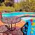 sChristmasVacation Rental~Sherman Oaks Villa - Views, Spa, Pool. 9 thumbnail