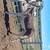 Mammoth Jack yearling 3 thumbnail