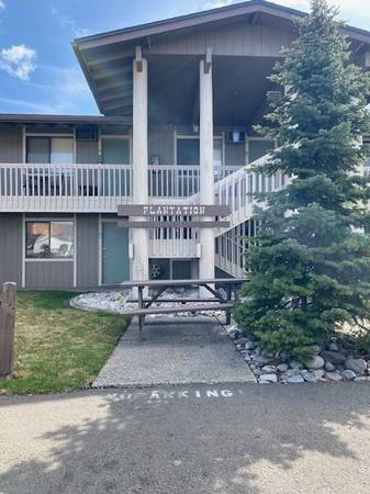 Cozy 1 BR / 1BA w/Fireplace in Millwood One Month Free #2120 1