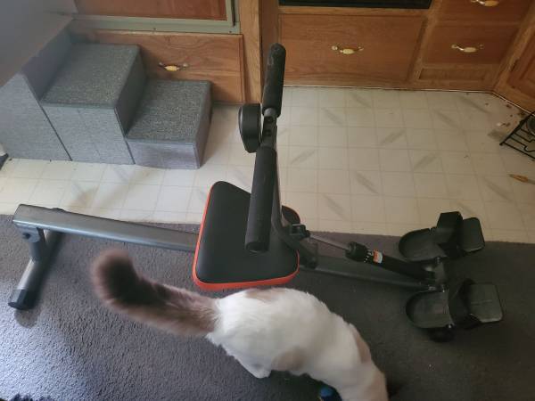 Rowing Machine 1