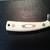 SCHRADE SCRIMSHAW KNIFE NEW IN BOX 6 thumbnail