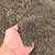 Screened Black Topsoil Pickup & Delivery 8 thumbnail