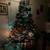 Large Christmas tree 2 thumbnail