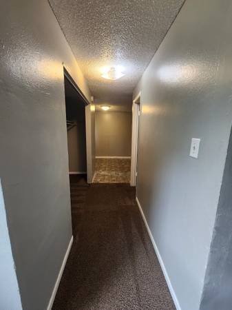 $995 / 450ft2 - Spacious Studio Unit in Aurora (Aurora)63973506242819123