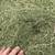 Alfalfa Hay 3 thumbnail
