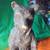 Only One Online! STANDING BEAR Bronze Plated Resin STATUE with Base!! 2 thumbnail
