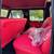 1977 Ford F-250 Custom Highboy Crewcab 4x4 10 thumbnail