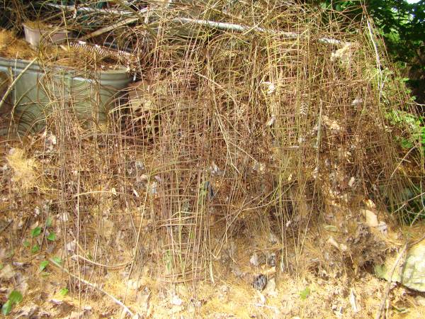 Over 200 Metal Wire Tomatoe Garden 3 Ring Cage Stake 1