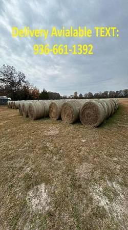 Bluestem Grass Hay 1