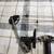 compound bow 11 thumbnail