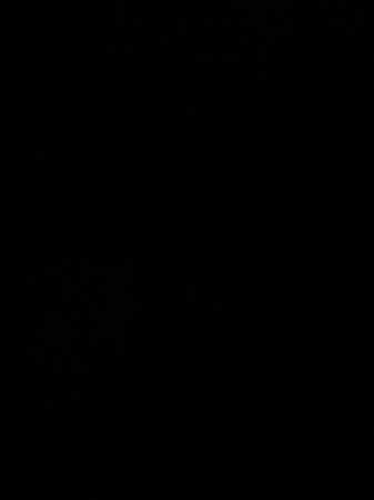 Danish pewter vase 1