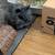 Lionhead Bunny Rabbit Groomer 1 thumbnail