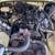 1977 MGB convertible 8 thumbnail