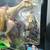 Star Wars EP1 - Captain Tarpals & Kaadu ($60 OBO) 2 thumbnail