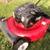 Troybilt gas push mower 5 thumbnail