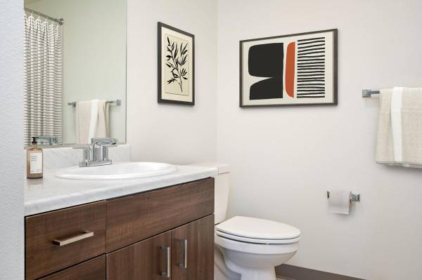 $1,317 / 1hab - 504ft2 - Camas de Jardín Comunitario, Estacionamiento Fuera de la Calle, Lavavajillas63841706848897123