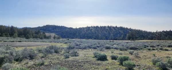 $8,000 Lot 30 Silverspur, 0.44 acres with Mount Shasta view (Lake Shastina)63678201392131123