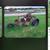trailers plow wagons, make offer on anything in pics 1 thumbnail