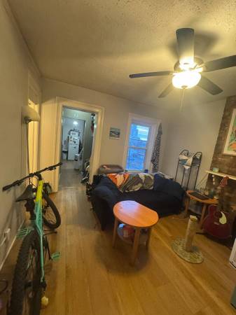 Basement apartment 1