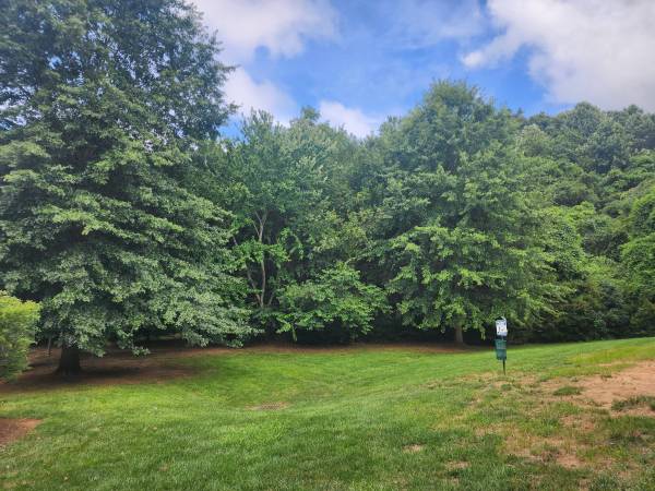 $750 / 2br - Room for rent in 2 bedroom apt use of all common areas (West Asheville)64029207611523122