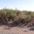 5 Acres Property for Sale in Deming, NM! 4 thumbnail