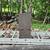 Owl boxes 2 thumbnail