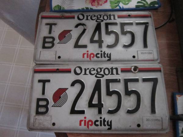 Collectible Plates 1