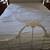 Queen Size quilt 1 thumbnail