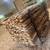 Cedar Slabwood Bundle 10 thumbnail