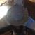 CHIPPENDALE-STYLE MAHOGANY PEDESTAL BASE TEA TABLE, TILT TOP. CHARAK F 13 thumbnail