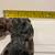 Vintage Asian Hand Carved Wooden Guardian Foo Dogs Floating Balls Insi 13 thumbnail