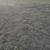 LANDSCAPING CARRILLO MAINTENANCE LAWN  LLC 2 thumbnail