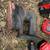 Assorted Craftsman Battery Tools 3 thumbnail