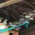 Beautiful finches for sale 2 thumbnail