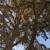 Bees bugging you? We exclude bees from choosing your property, live-trap those t 16 thumbnail