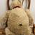 VERMONT TEDDY BEAR - The Complete Companion - Rare Limited Edition New 11 thumbnail
