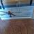 Ceiling fan 2 thumbnail