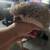 Hedgehogs 3 thumbnail