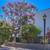 Remodeled 2+1 in Highland Park + 4 Weeks Free + W/D in Unit 8 thumbnail