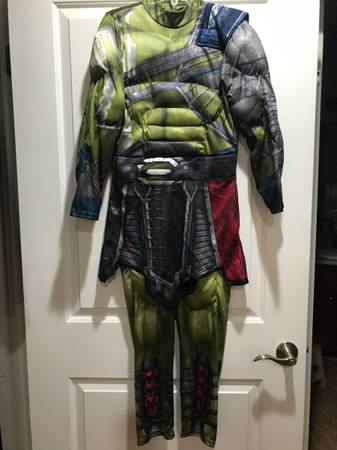 Hulk Costume 1