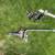 Weight distribution hitch, bars, brackets , and sway bar control 1 thumbnail