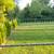 Professional All Landscaping, Design Bedding, Landscaping Services: 9 thumbnail