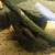 Ball Python, Fish, And Fish Tanks 8 thumbnail