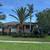 PALM TRIMMING & PRUNING SAME DAY SERVICE 1 thumbnail